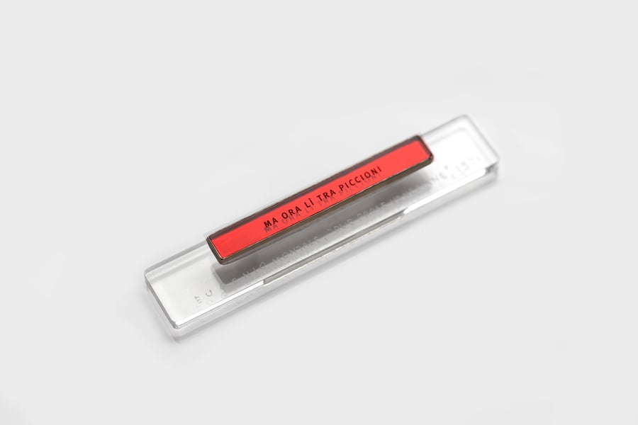 Image of "MA ORA LÌ TRA PICCIONI" silver brooch with acrylic glass