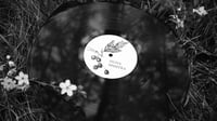 Image 4 of Dies Irae / Signa Sinistra split LP