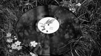Image 5 of Dies Irae / Signa Sinistra split LP