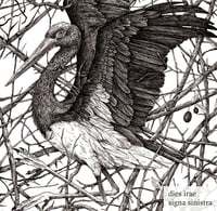 Image 1 of Dies Irae / Signa Sinistra split LP