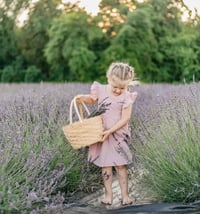 Image 4 of Lavender Mini Portraits