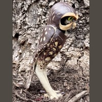 Image 3 of Burrowing Owl Sculpture
