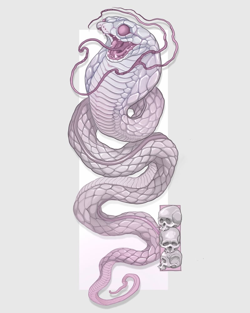 Image of SNAKE