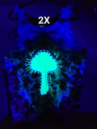 Image 12 of Fluorescent Fungi