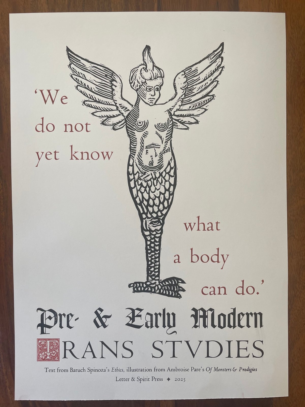 Image of Pre and Early Modern Trans Studies poster