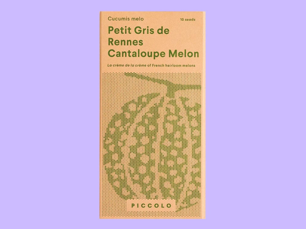 Image of SAATGUT Petit Gris de Rennes Cantaloupe Melon