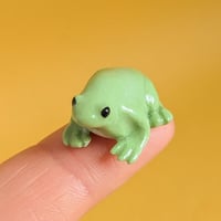 Image 3 of frog
