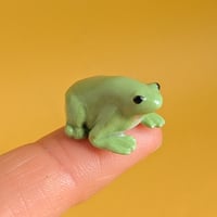 Image 1 of frog