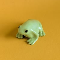 Image 4 of frog