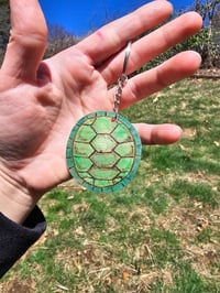 Image 1 of Turtle shell
