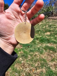 Image 2 of Turtle shell