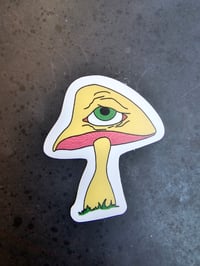 Psychedelic mushroom