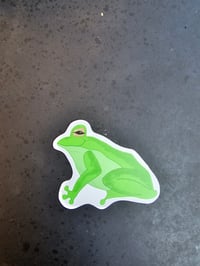 Frog