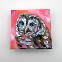 Image 6 of Woodland Guardian – barred owl mini painting
