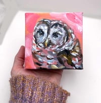 Image 5 of Woodland Guardian – barred owl mini painting