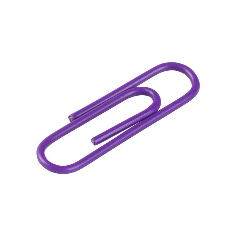 The Paperclip Image 2
