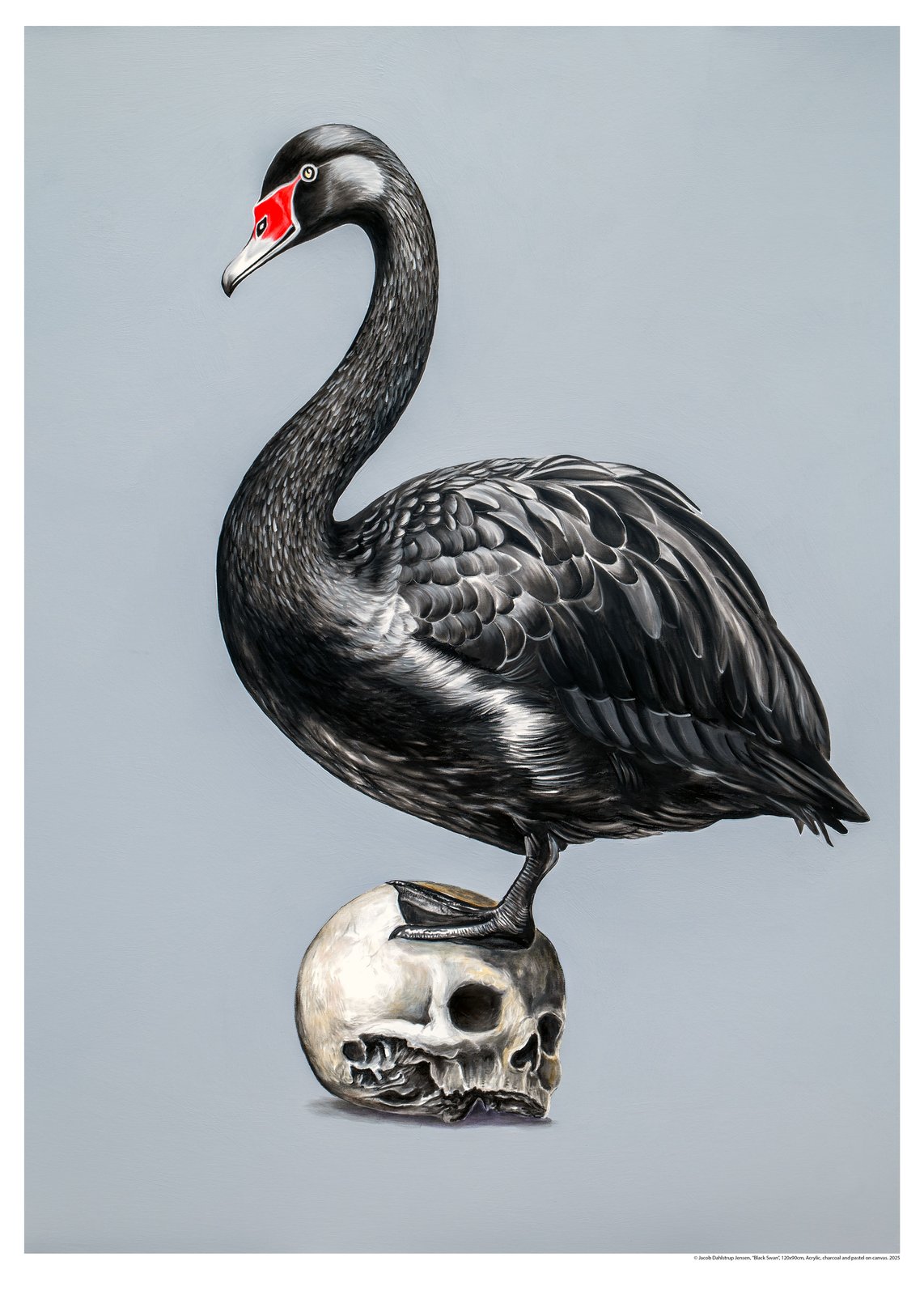 black_swan！！ Amazon.com: ZKSYLSM Ceramic Swan Figurine - Modern Minimalist Swan