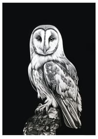 Image 1 of The Owls Are Not What they Seem