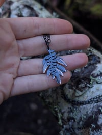 Image 1 of Forest Floor 