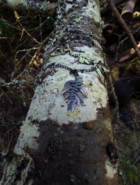 Image 5 of Forest Floor 