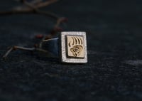 Image 2 of Bear Paw Signet 