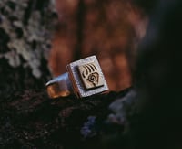 Image 1 of Bear Paw Signet 