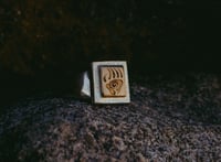 Image 3 of Bear Paw Signet 