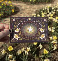 mushroom magic circle mini print/postcard (4x6")
