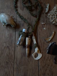 Image 4 of The Scavenger