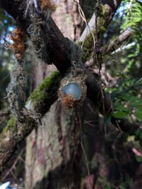 Image 3 of Portal // autumn