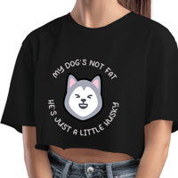 Image 2 of a little husky