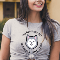Image 1 of a little husky