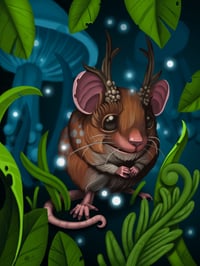 Deer Mouse