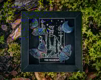 Blue Bullseye Butterflies