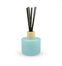 Reed Diffuser - MINT
