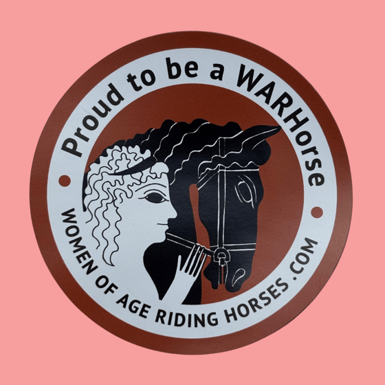 Image of 3" Vinyl Magnet