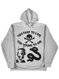 Image 1 of TOO FAST HOODIE GRAU