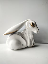 Lepus Luminis – Hare of Light