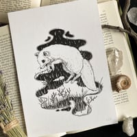 Image 3 of Originals - Batch 1
