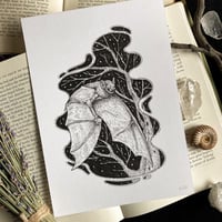 Image 4 of Originals - Batch 1