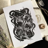 Image 5 of Originals - Batch 2