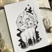 Image 2 of Originals - Batch 3