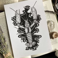 Image 4 of Originals - Batch 3