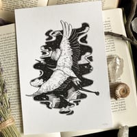 Image 5 of Originals - Batch 3