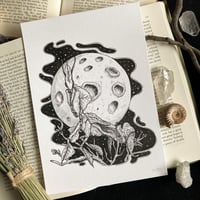 Image 2 of Originals - Batch 4