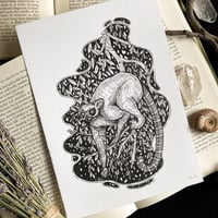 Image 4 of Originals - Batch 4