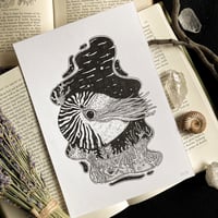Image 5 of Originals - Batch 4