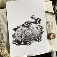 Image 2 of Originals - Batch 5