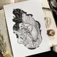Image 3 of Originals - Batch 5