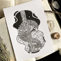 Image 4 of Originals - Batch 5